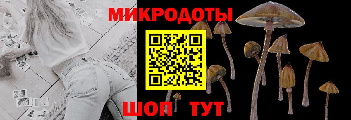 купить закладку  Псилоцибиновые грибы Magic Shrooms  Рузаевка  Вход с VPN  Псилоцибиновые грибы прущие грибы 